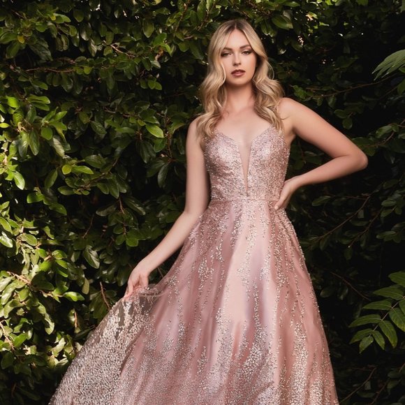 NEW FLOOR LENGTH SLEEVELESS EMBROIDERED GLITTER BALL GOWN WITH ZIP BACK CD J819